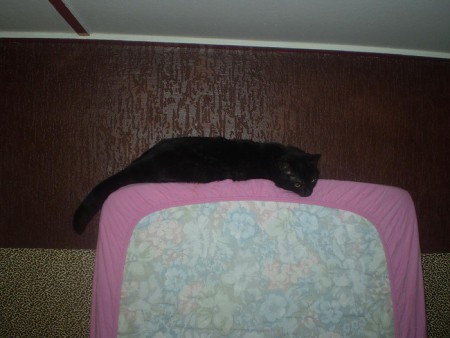 Elsje op matras.